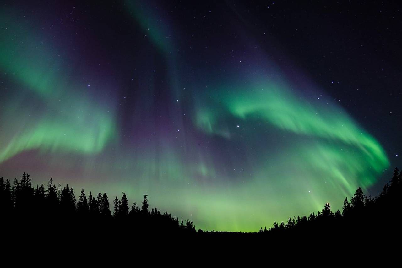 A green and purple sky with trees in the foreground.